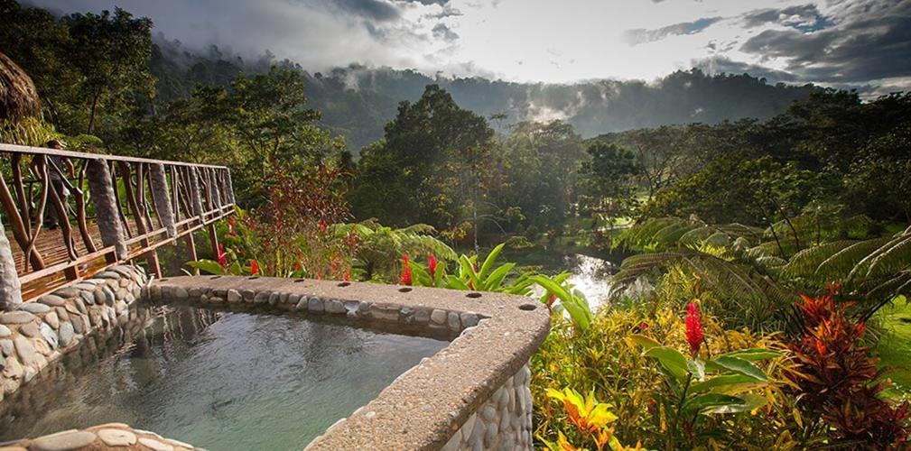 Rafiki Safari Lodge Savegre Bagian luar foto