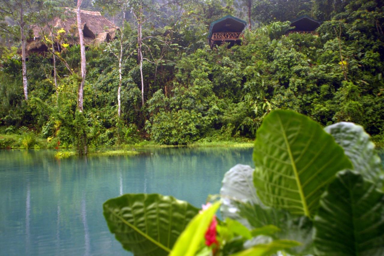 Rafiki Safari Lodge Savegre Ruang foto